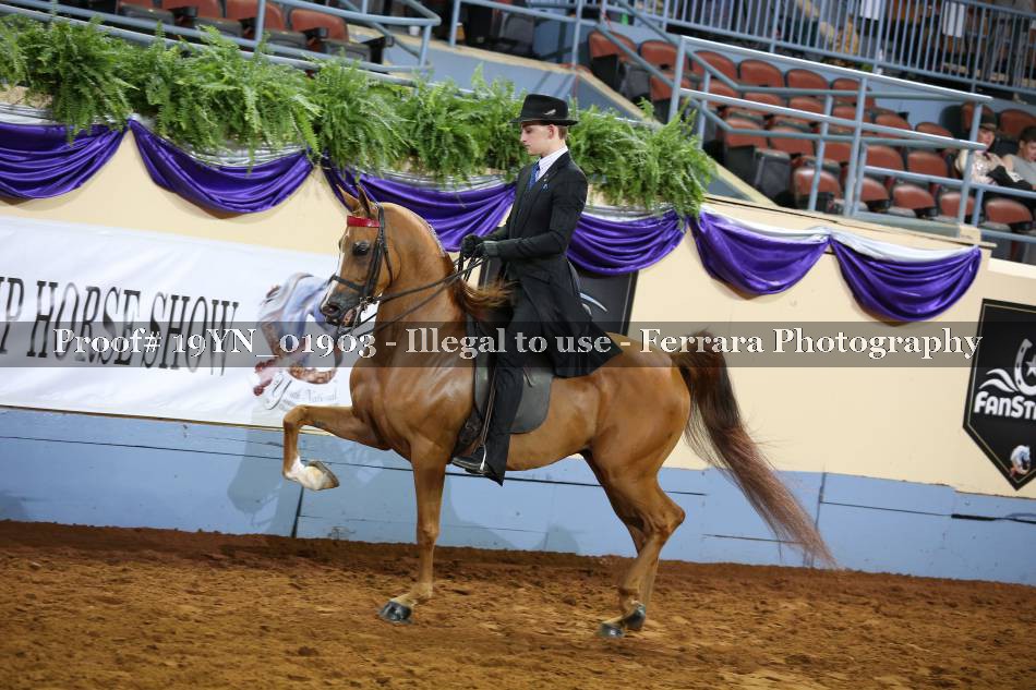 Proof 19YN_01903