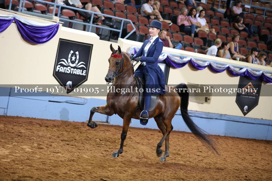 Proof 19YN_01905