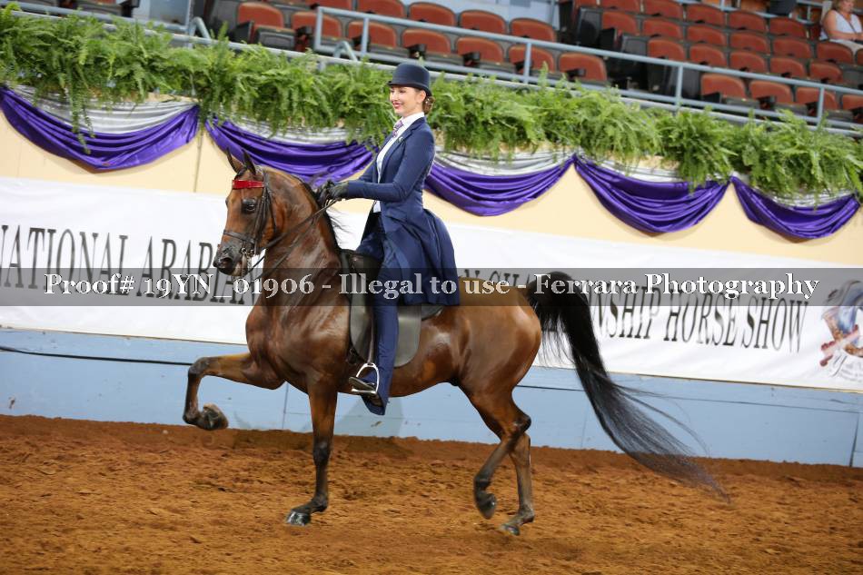 Proof 19YN_01906