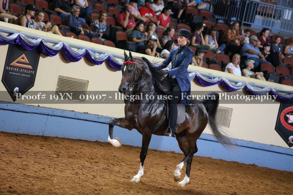 Proof 19YN_01907