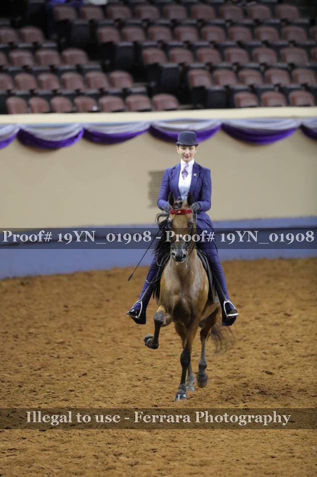 Proof 19YN_01908