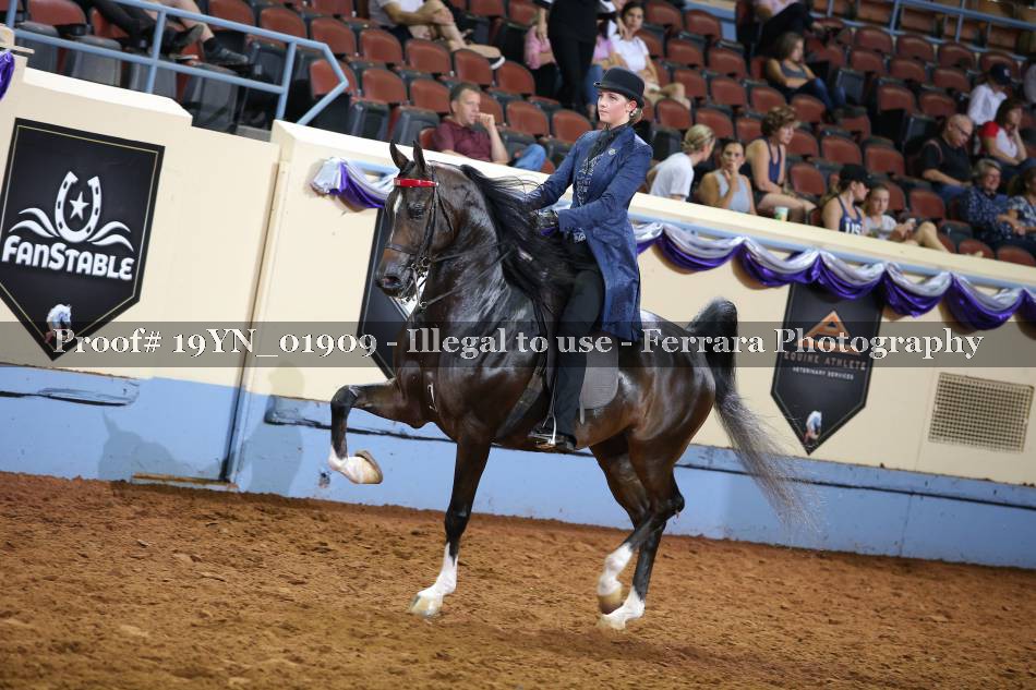 Proof 19YN_01909