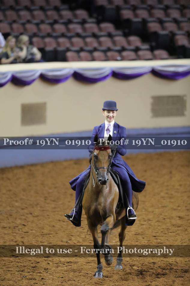 Proof 19YN_01910