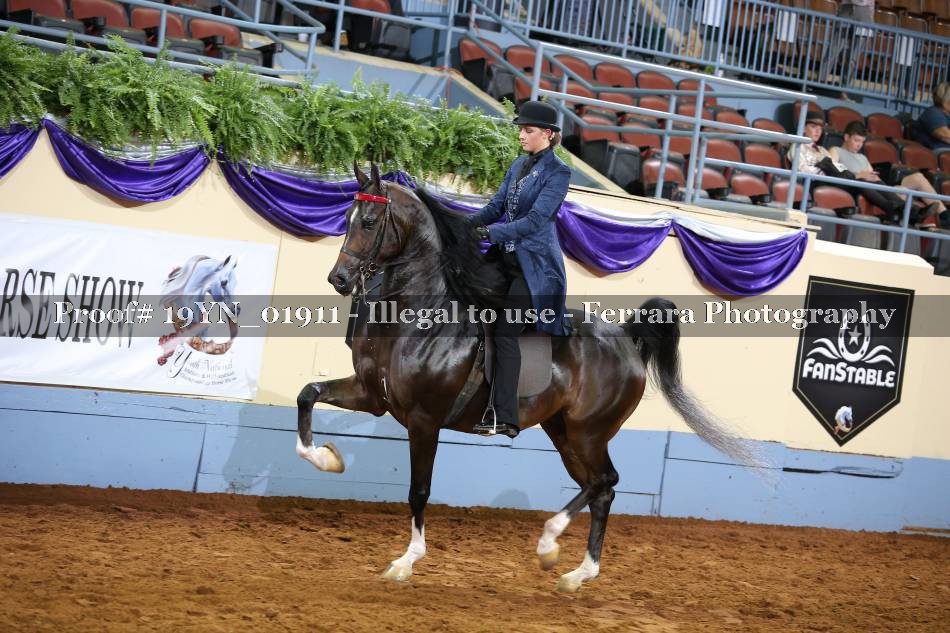 Proof 19YN_01911