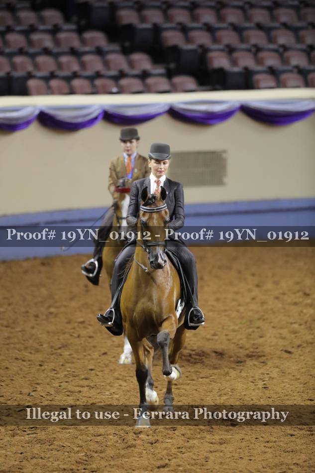 Proof 19YN_01912
