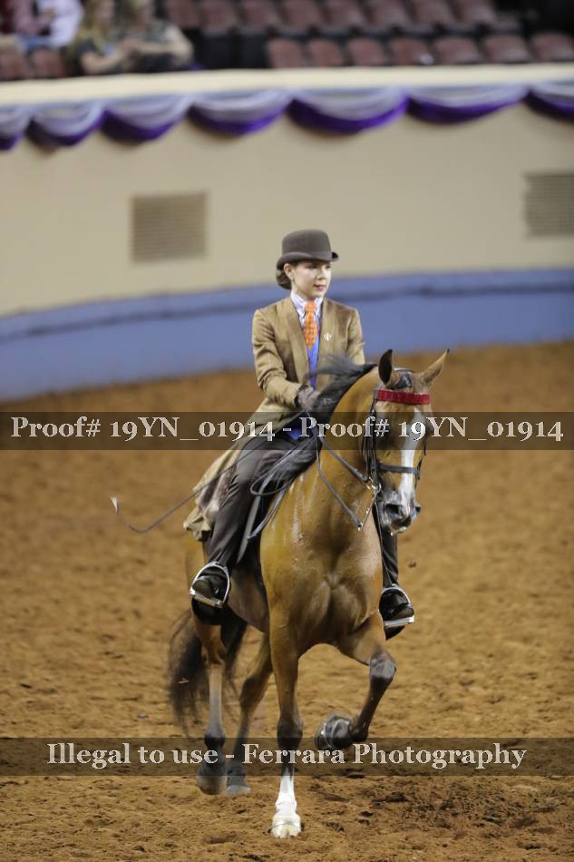 Proof 19YN_01914