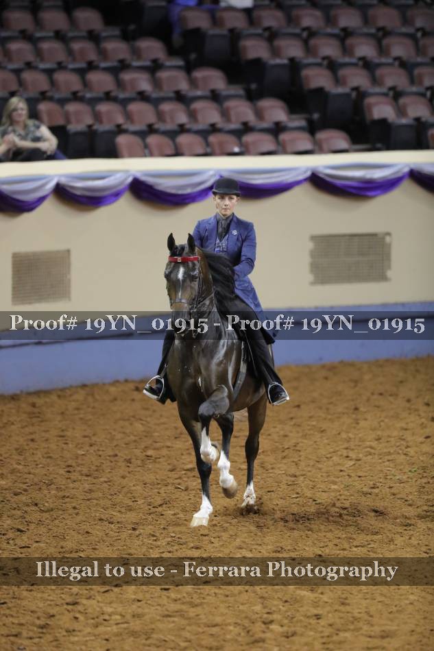 Proof 19YN_01915
