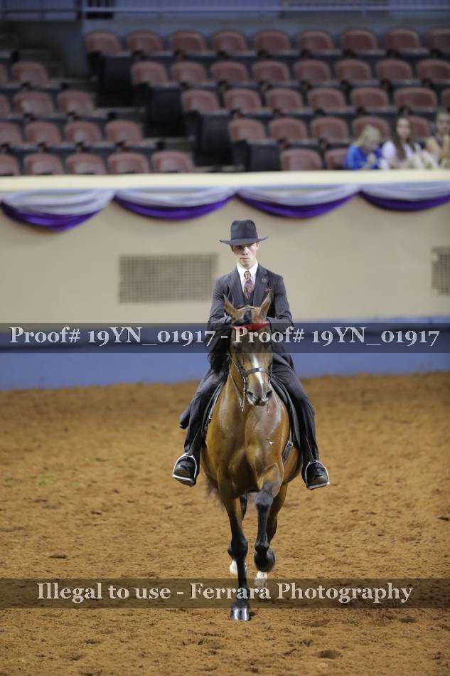 Proof 19YN_01917