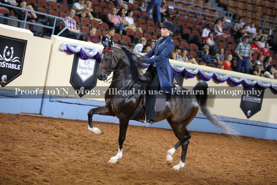 Proof 19YN_01923