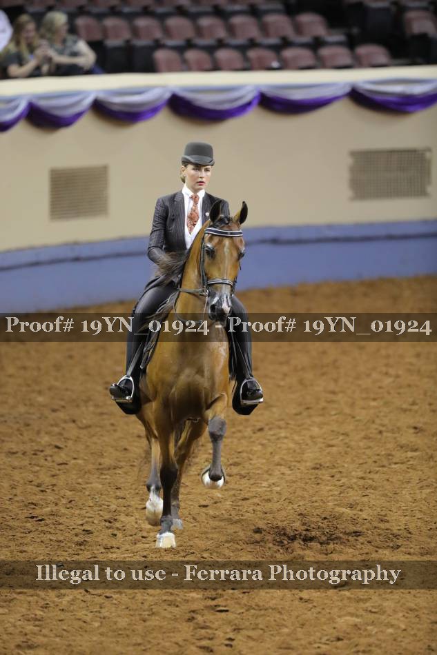 Proof 19YN_01924