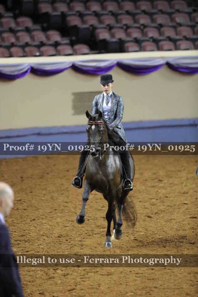 Proof 19YN_01925