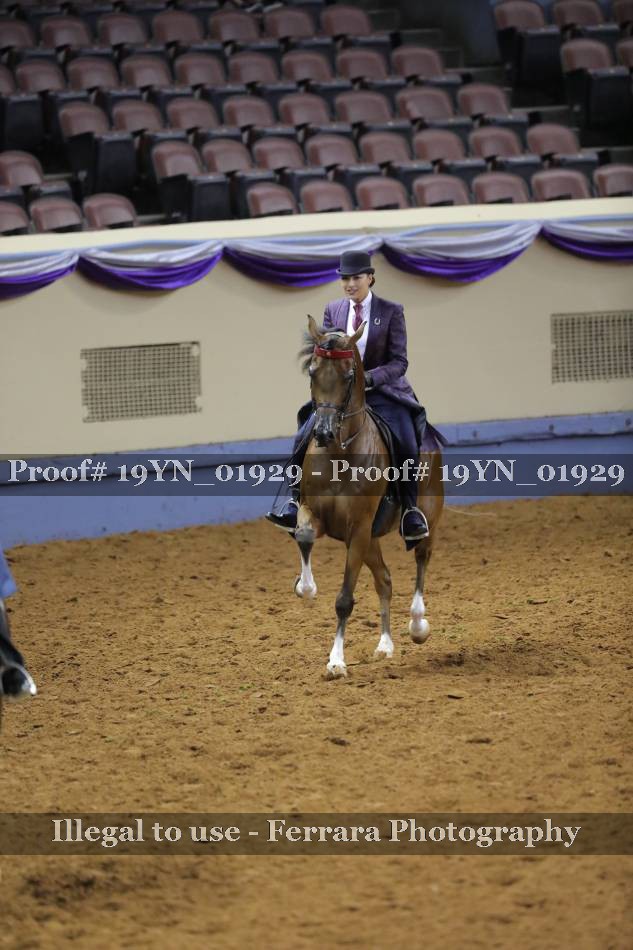 Proof 19YN_01929