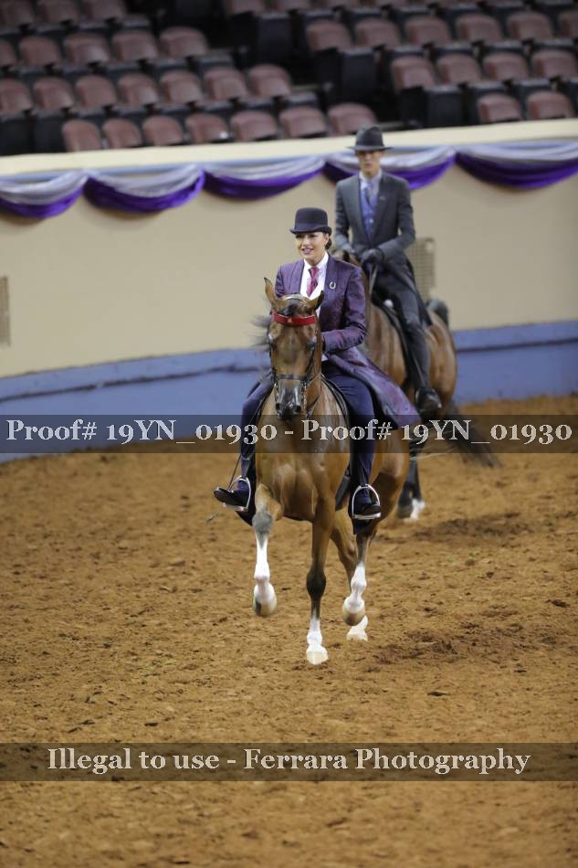 Proof 19YN_01930