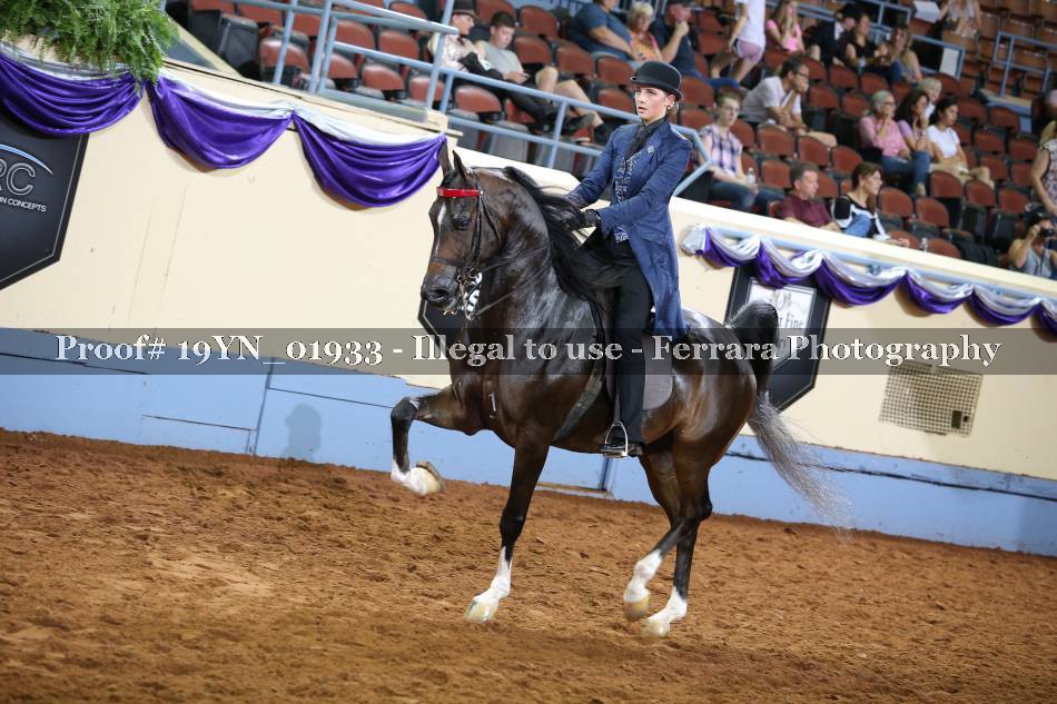 Proof 19YN_01933