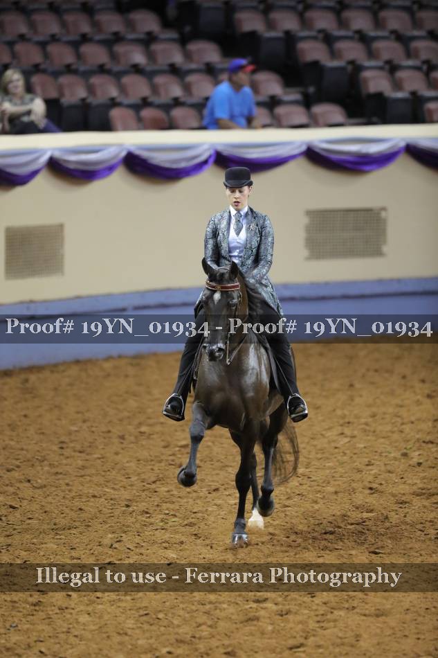 Proof 19YN_01934