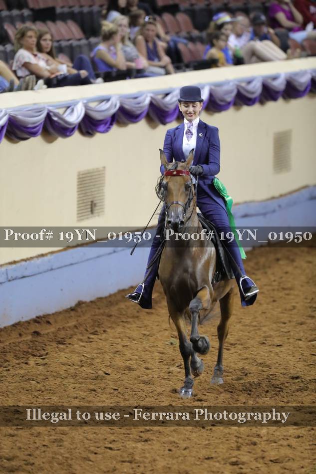 Proof 19YN_01950