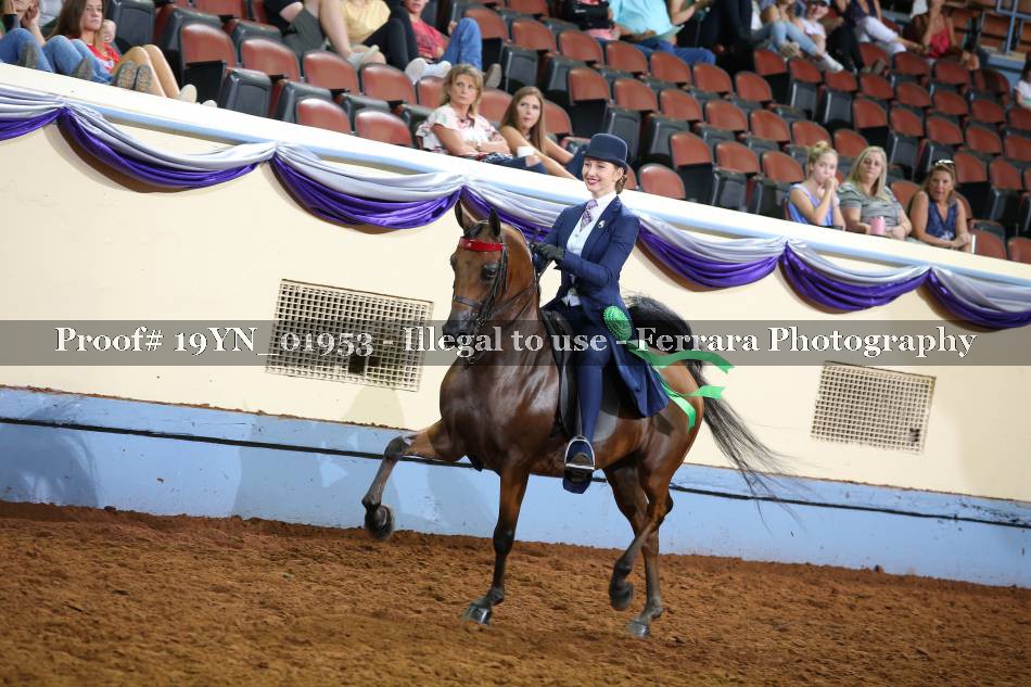 Proof 19YN_01953