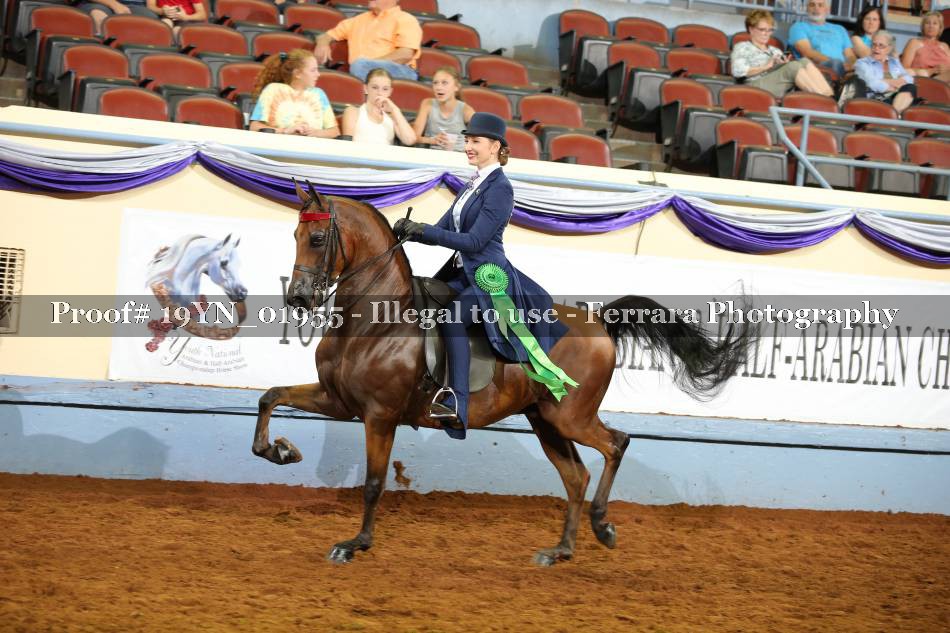 Proof 19YN_01955