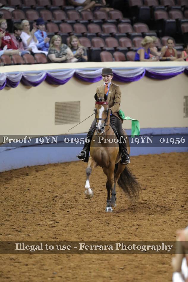 Proof 19YN_01956