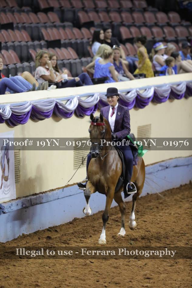 Proof 19YN_01976