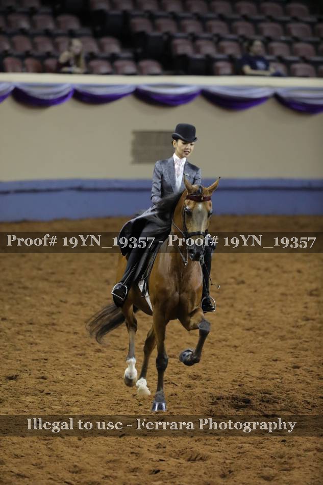 Proof 19YN_19357