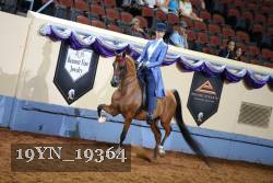 19YN_19364 proof