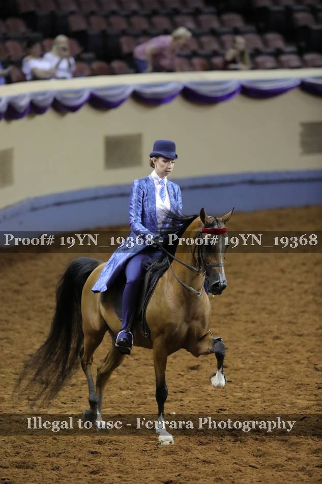 Proof 19YN_19368