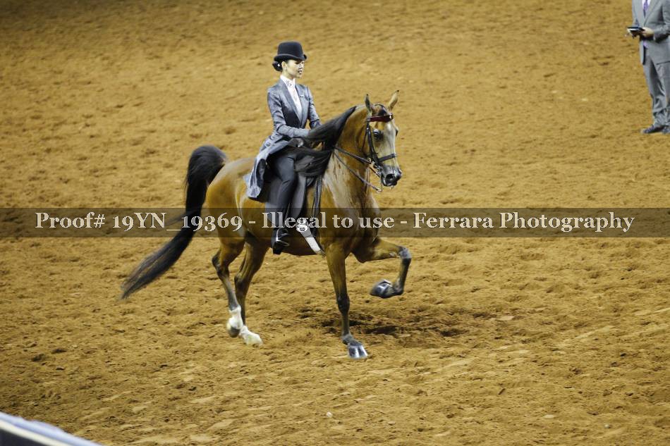 Proof 19YN_19369