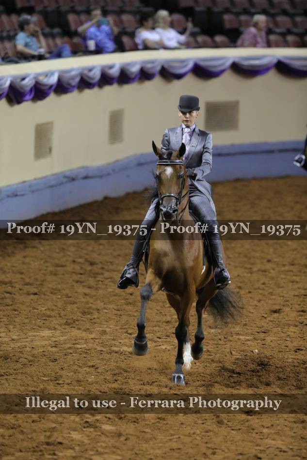 Proof 19YN_19375