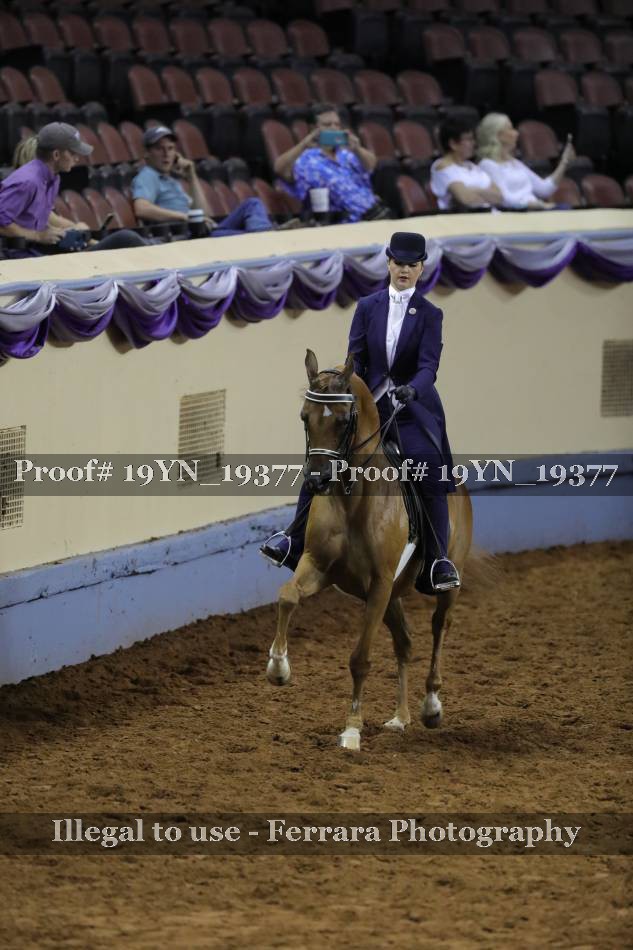 Proof 19YN_19377