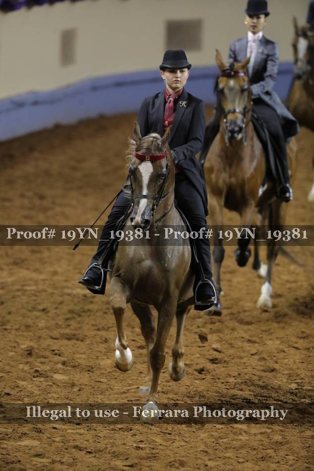 Proof 19YN_19381