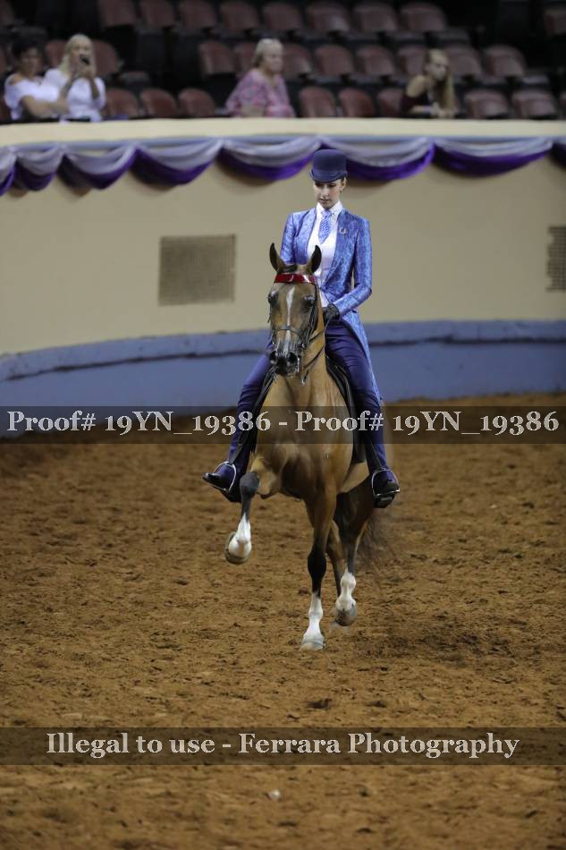 Proof 19YN_19386