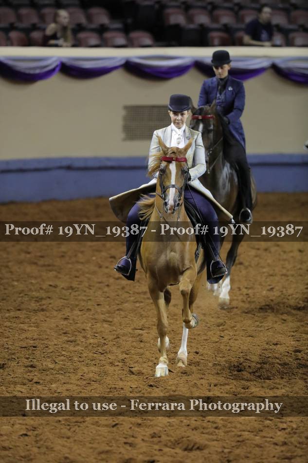 Proof 19YN_19387