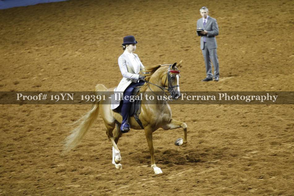 Proof 19YN_19391