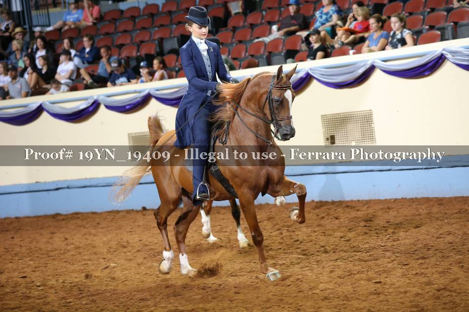 Proof 19YN_19409