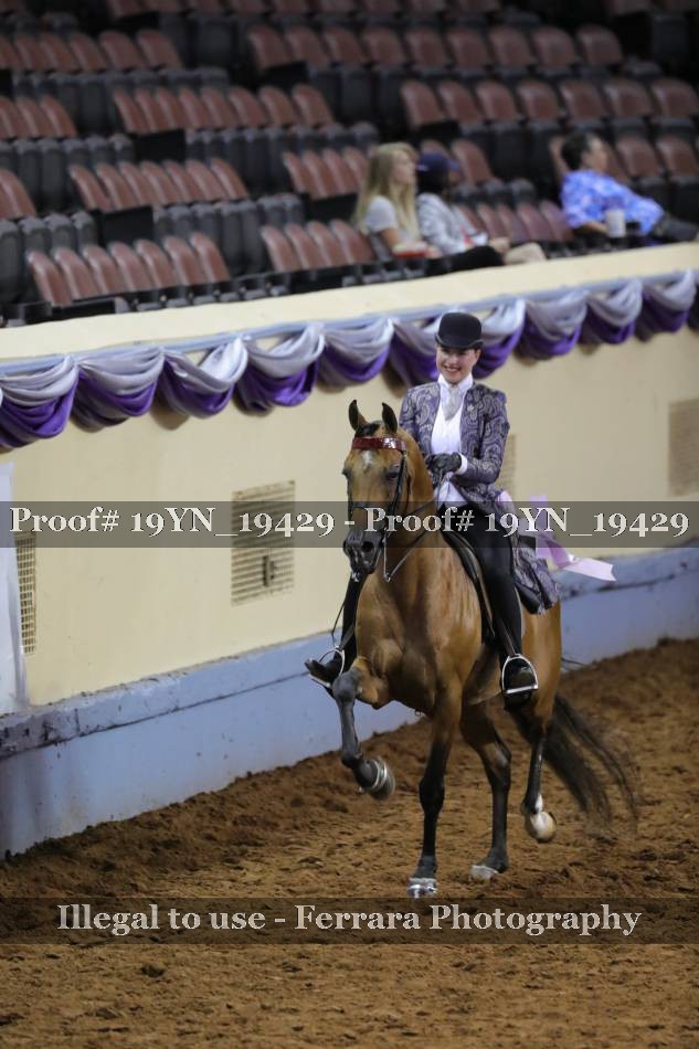 Proof 19YN_19429