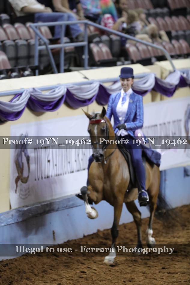 Proof 19YN_19462
