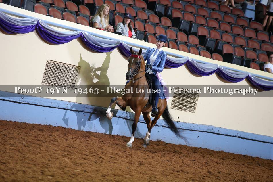 Proof 19YN_19463