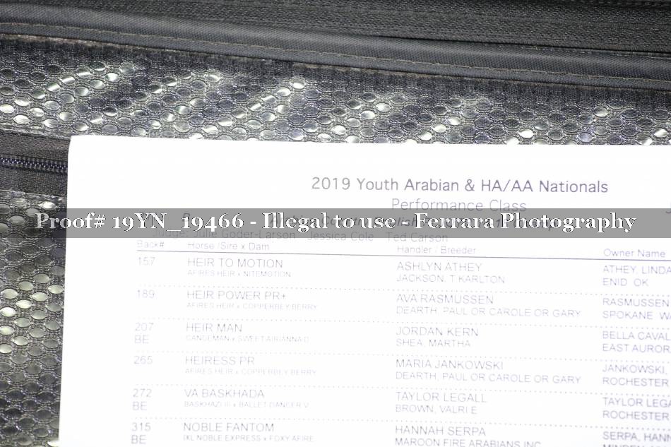 Proof 19YN_19466