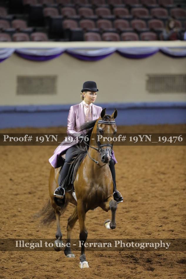 Proof 19YN_19476