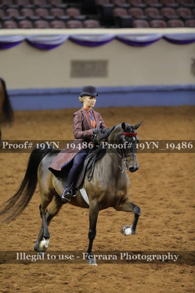 Proof 19YN_19486