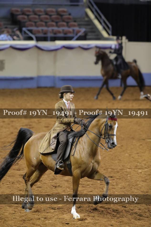 Proof 19YN_19491
