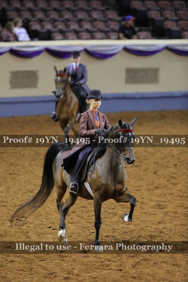 Proof 19YN_19495