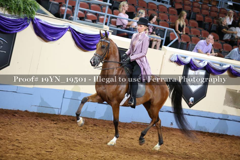 Proof 19YN_19501