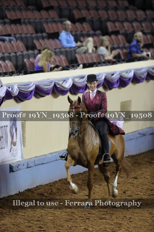 Proof 19YN_19508
