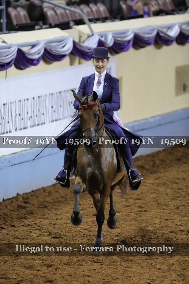 Proof 19YN_19509