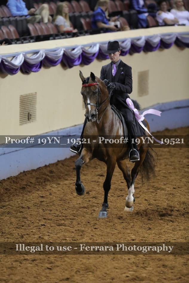 Proof 19YN_19521