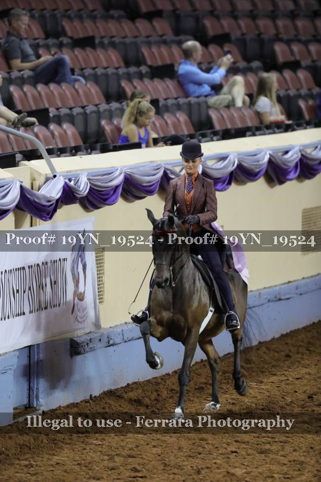 Proof 19YN_19524