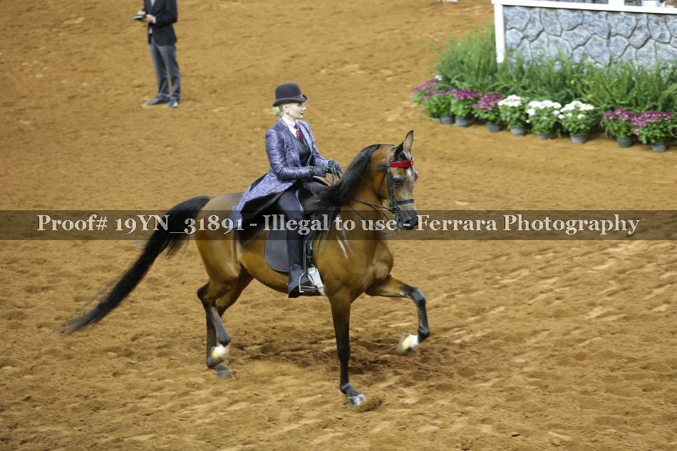 Proof 19YN_31891