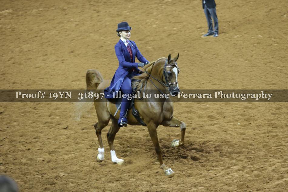 Proof 19YN_31897